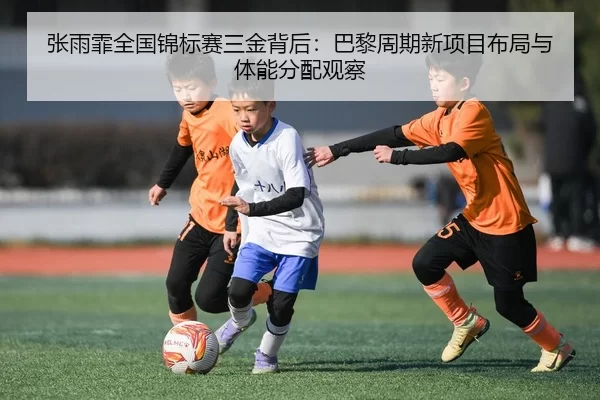zhang-yu-fei-quan-guo-jin-biao-sai-san-jin-bei-hou-ba-li-zhou-qi-xin-xiang-mu-bu-ju-yu-ti-neng-fen-pei-guan-cha-2-222.jpg