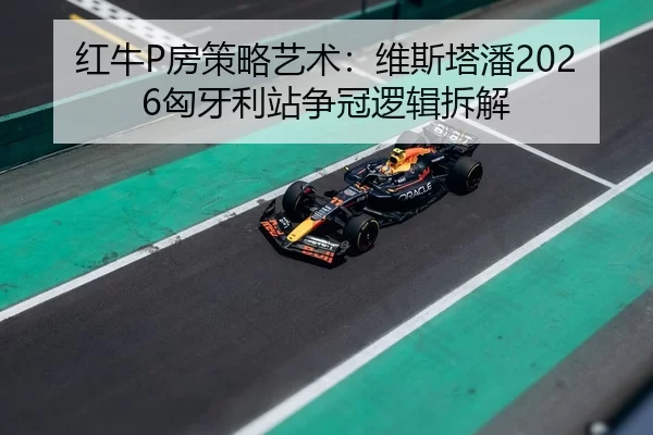 hong-niu-fang-ce-lve-yi-shu-wei-si-ta-pan-xiong-ya-li-zhan-zheng-guan-luo-ji-chai-jie-3-443.jpg